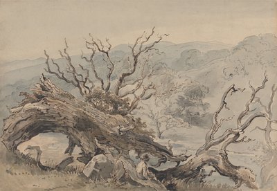 倒れたオークの木 作： ウィリアム・ヘンリー・ハント