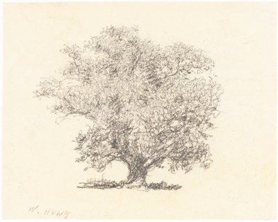 満開の木 作： William Henry Hunt