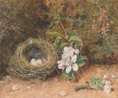 鳥の巣とりんごの花のしぶき 作： William Henry Hunt
