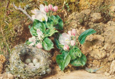 鳥の巣とリンゴの花（カードにトイレ） 作： William Henry Hunt