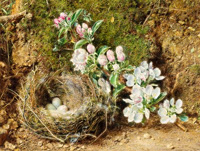 リンゴの花と鳥の巣の枝 作： William Henry Hunt