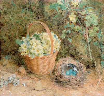 チャフィンチの巣とサクラソウ（紙とトイレとガッシュ） 作： William Henry Hunt