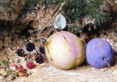 ローズヒップ、ブラックベリー、プラム 作： William Henry Hunt