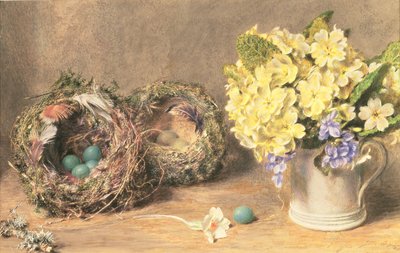 春の花と鳥の巣 1830年頃 （紙に水彩、ボディーカラー） 作： William Henry Hunt