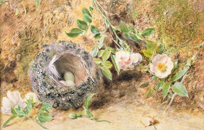 チャフィンチの巣のある静物 作： William Henry Hunt