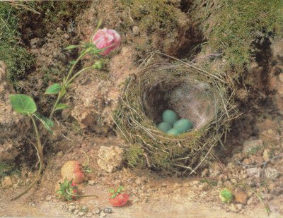 鳥の巣のある静物 作： William Henry Hunt