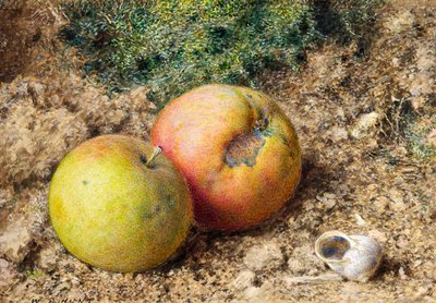 2つのリンゴとカタツムリの殻のある静物 作： William Henry Hunt