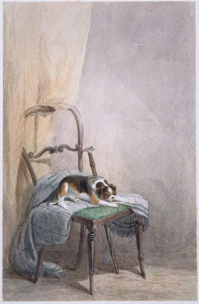 椅子に座る犬の習作（水彩・紙 作： William Henry Hunt
