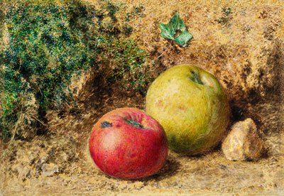 コントラスト-赤と緑のリンゴ、1860年頃 作： William Henry Hunt