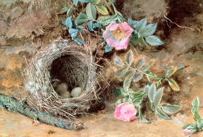 野バラと鳥の巣 作： William Henry Hunt