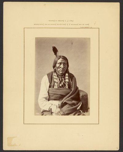 [ハウクへの突撃～（ブリュレ・ダコタ）】。］ 作： William Henry Jackson