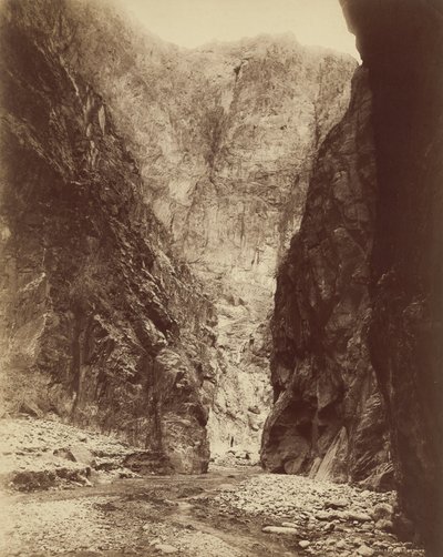  作： William Henry Jackson