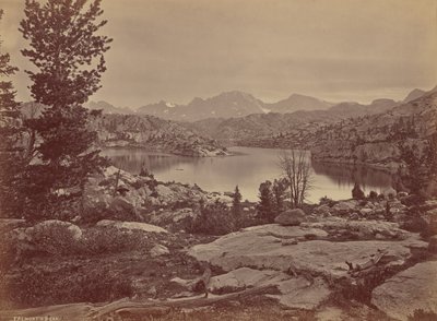  作： William Henry Jackson