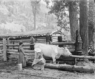 コロラド州の山のミルク係、1900年頃（モノクロ写真 作： William Henry Jackson