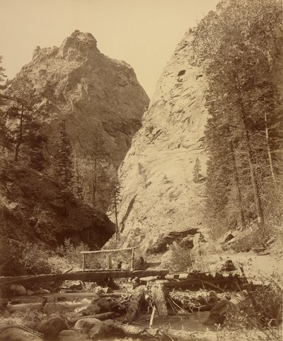  作： William Henry Jackson