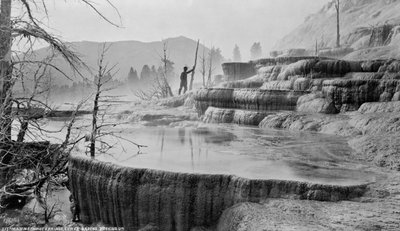 イエローストーン国立公園マンモスホットスプリングス、1872年頃 作： William Henry Jackson