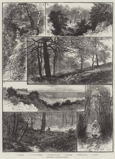 ハイゲートウッズのスケッチ 作： William Henry James Boot