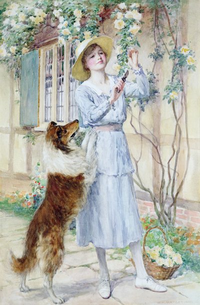 バラ摘み（水彩・紙） 作： William Henry Margetson