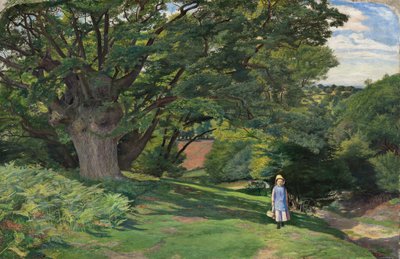 ヘイズ・コモン 作： William Henry Millais