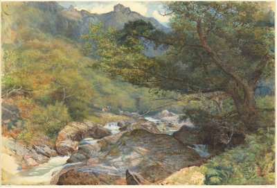 イースト リン、ノース デヴォン 作： William Henry Millais