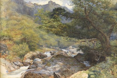 リン、ノースデボン（wcはボディカラーとアラビアガムで高め） 作： William Henry Millais