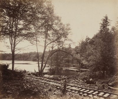 ビーチウッド・レイク,c.1895年（写真） 作： ウィリアム・ハーマン・ラウ