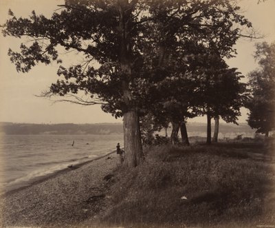 カユーガ湖、シェルドレイク。1895年（写真） 作： ウィリアム・ハーマン・ラウ