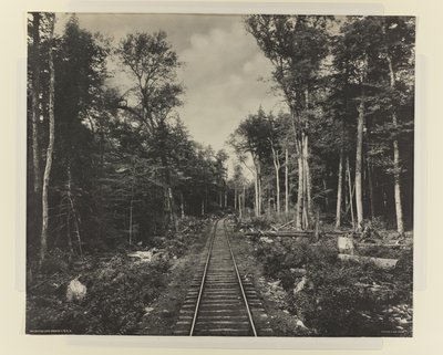ガノガレイクブランチ、LVRR、1899年頃（プラチナプリント） 作： William Herman Rau