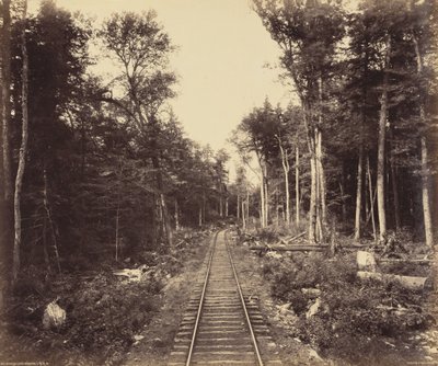 ガノガ・レイク・ブランチ、1895年頃（写真） 作： ウィリアム・ハーマン・ラウ
