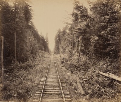 ヘムロックの森1895年（写真） 作： ウィリアム・ハーマン・ラウ