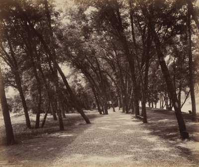 ピクニック・グラウンド、1895年頃1895年（写真） 作： ウィリアム・ハーマン・ラウ