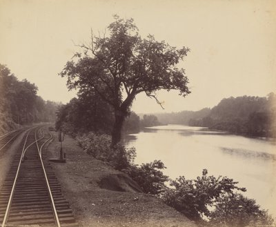 リーハイ号、ターキーランにて。1895年（写真） 作： ウィリアム・ハーマン・ラウ