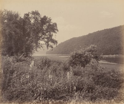 ワイアリュージングのサスケハナ川。1895年（写真） 作： ウィリアム・ハーマン・ラウ