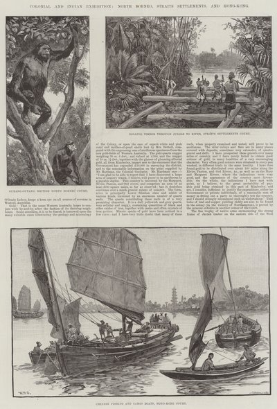 植民地とインドの展覧会、北ボルネオ、海峡集落、香港 作： William Heysham Overend