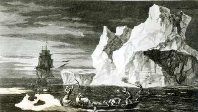 1777年2月31日、BTプーニーによって刻まれた1773年1月9日の氷島 作： William Hodges