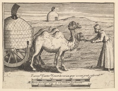 2つのヒトコブラクダAubry de La Mottrayesはヨーロッパ、アジア、そしてパート...、1723-24を旅します。 作： William Hogarth