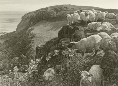On the hillside (everything) 作： William Holman Hunt