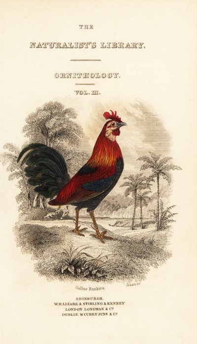 タイトルページには、赤いジャングルファウル（ジャワ）のヴィネット、Gallus gallus bankivaが描かれています。 作： William Home Lizars