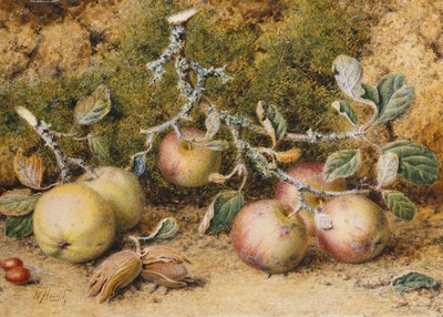 リンゴ、ヘーゼルナッツ、ローズヒップのある静物、 作： William Hough
