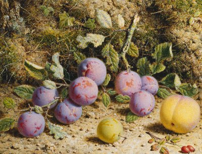 梅、桃、ローズヒップのある静物、 作： William Hough