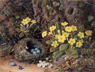 鳥の巣、サクラソウ、スミレのある静物（鉛筆と水彩） 作： William Hough
