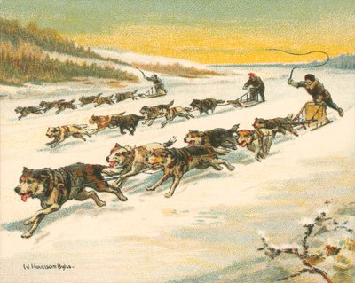 歴史的なレースと近代的なレース、カナダのドッグスレーレース（クロモリト 作： William Hounsom Byles