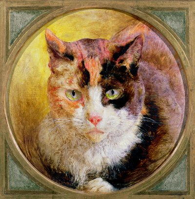 べっ甲猫の頭部研究、1866 作： William Huggins