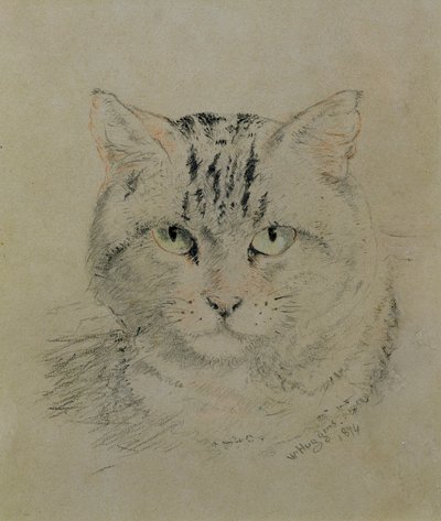 ぶち猫、1874年（紙に鉛筆、クレヨン、木炭） 作： William Huggins
