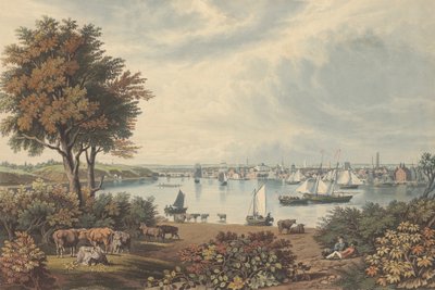 Baltimore Whetstone Pointの近くで撮影されたもので、1831年に出版されました。 作： William James Bennett