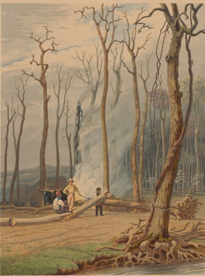 春--ガード付きの空き地で倒木を燃やす。1841年の西部の風景。 作： William James Bennett