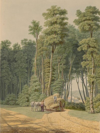 夏--ある交通事故。原始林の開口部から垣間見たもの...1841. 作： William James Bennett