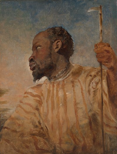 Um africano escravizado 作： William James Muller