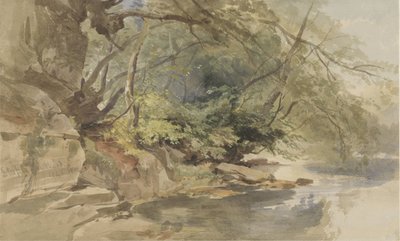 ブリストル近くのステイプルトン ウッドの景色 作： William James Muller