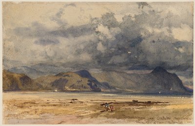  作： William James Muller